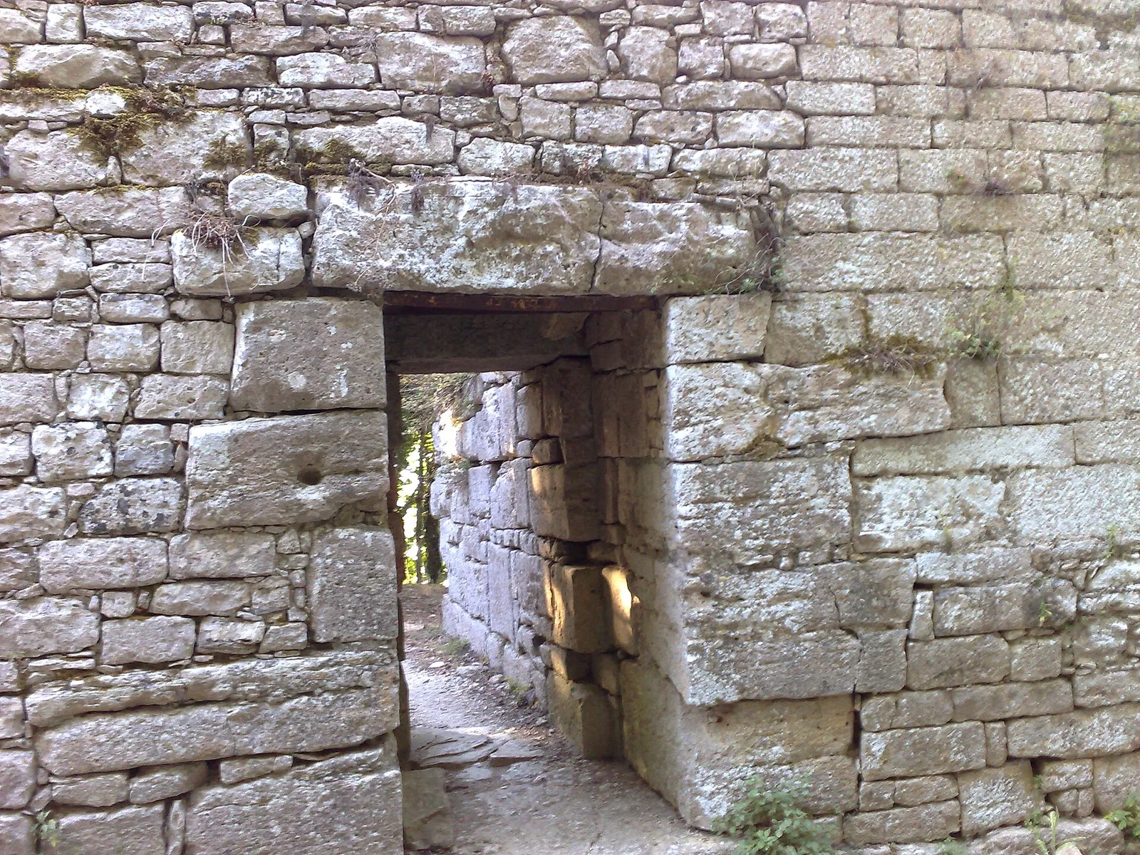 Eryx (Sicily)